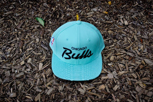 JUST DON Chicago Bulls Script - Mint / Mint