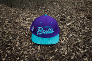 JUST DON Bulls Script - Purple / Teal